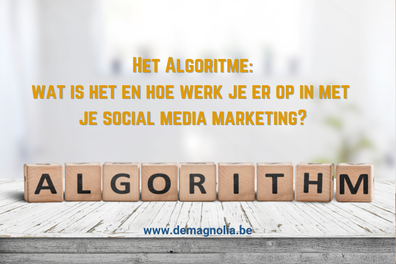 werk in op het algoritme met deMagnolia