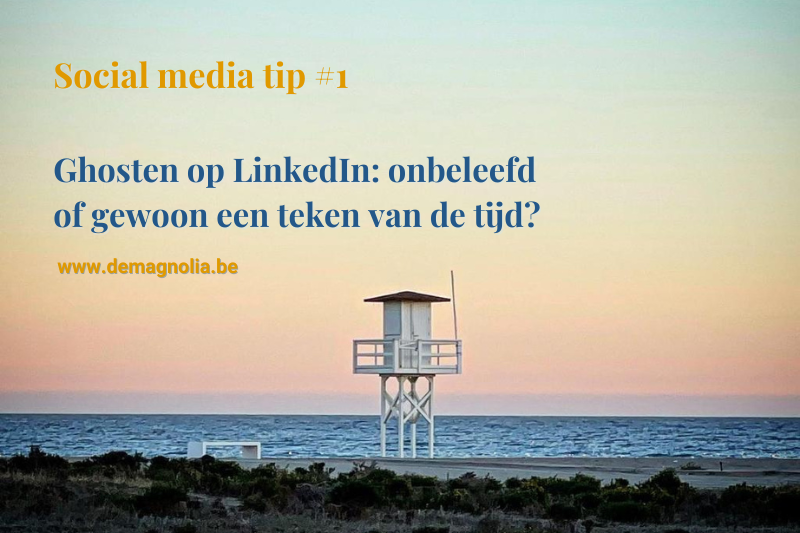 Meer uit LinkedIn en social media halen? Leer het met deMagnolia