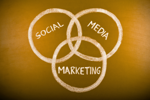 Welk social media platform werkt écht voor jouw zaak?