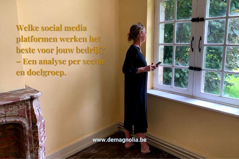ontdek je social media marketing met deMagnolia.be