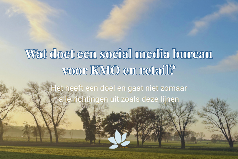 Wat doet een social media bureau voor KMO en retail?