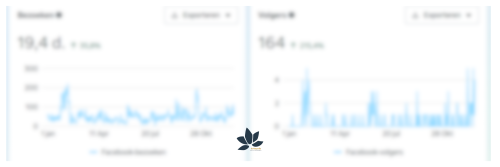 statistieken social media - deMagnolia