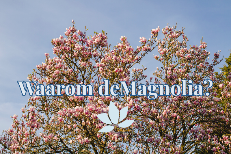 Waarom bedrijfsnaam de Magnolia voor social media marketing in Bornem