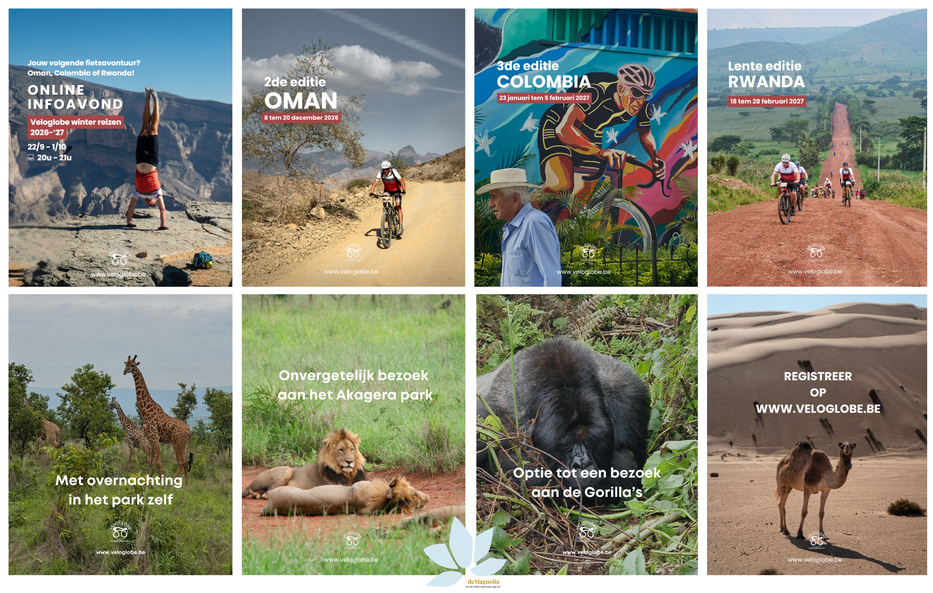 social media en Meta Ads met deMagnolia