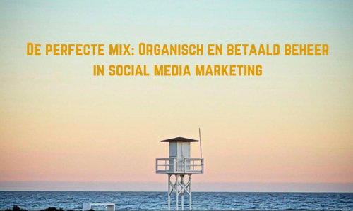 De perfecte mix: organisch en betaald beheer in social media marketing met de magnolia