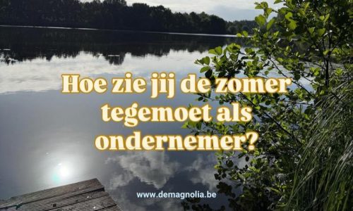 social media marketing beheer
