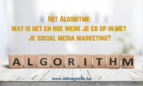 werk in op het algoritme met deMagnolia