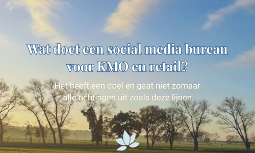 Wat doet een social media bureau voor KMO en retail?