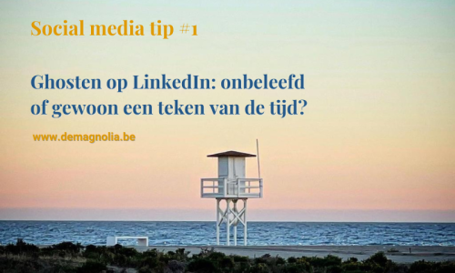 Meer uit LinkedIn en social media halen? Leer het met deMagnolia