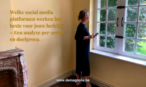 ontdek je social media marketing met deMagnolia.be