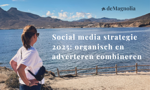 Social media strategie 2025 organisch en adverteren combineren