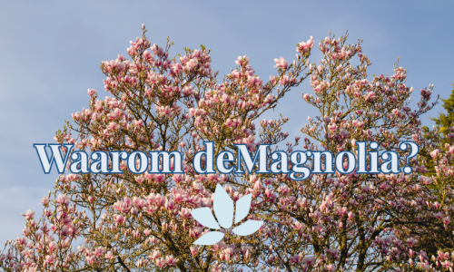 Waarom bedrijfsnaam de Magnolia voor social media marketing in Bornem