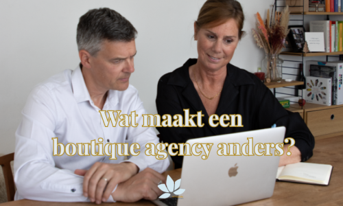 deMagnolia online marketing is een boutique agency