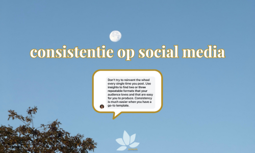 consistentie op social media met deMagnolia